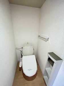 ディアスYS A0102号-10