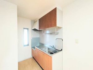 ケンタウルスβ B0102号-3