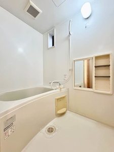 ケンタウルスδ D0102号-6