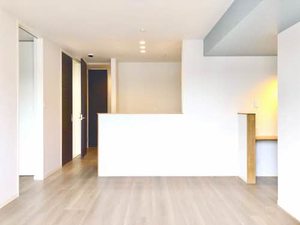 ニンナ・ナンナＣ棟 C0313号-2