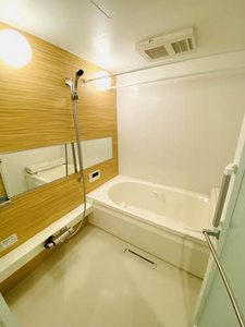 コンフォーザ（ＢＥＬＳ認証） A0201号-5