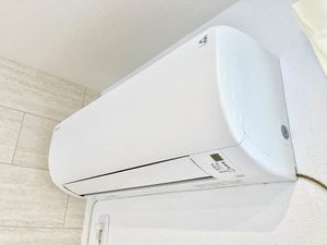 ドミールウエダ A0102号-11