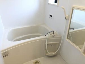 お問合せ番号：2007255-10