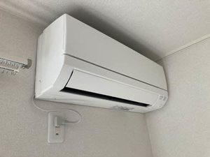 Ｃａｓａ　Ｒｅｇｉｏ　Ｍｉｓｕｊｉ A0201号-13