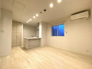 ＳｈａＭａｉｓｏｎ　和（ＫＡＺＵ） A0301号-2