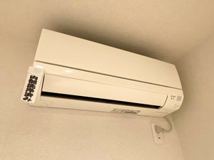 ＳｈａＭａｉｓｏｎ　和（ＫＡＺＵ） A0301号-11