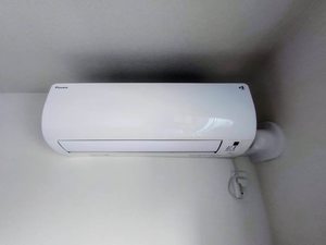 ミモザ A0103号-11