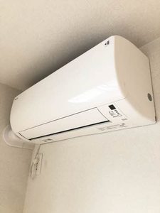 ミモザ A0201号-13