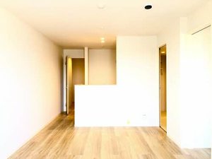 ミモザ A0305号-2