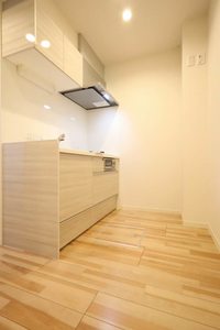 ル・リアンTKS A0102号-3