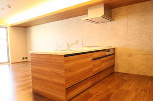 シャーメゾン　ルート３３ A0302号-4