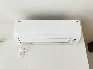 パインツリー A0201号-11