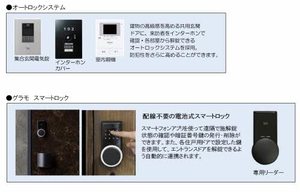 ピュアシャルム A0203号-4