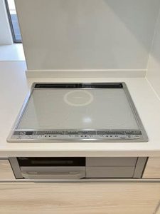 シャーメゾンテラス A棟 A0102号-4