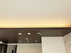 シャーメゾン　桜の杜テラス（ＢＥＬＳ認証） A0102号-10