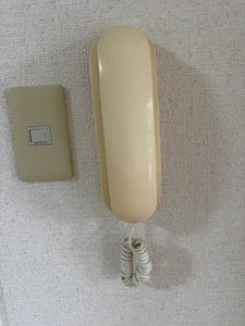 ポルテ野上 A0203号-10