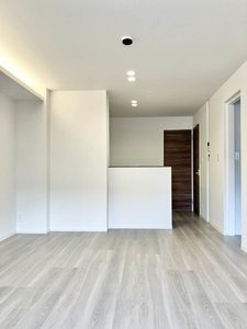 ディマーネⅡ A0101号-2