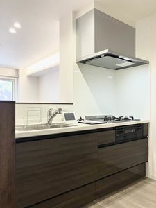 ディマーネⅡ A0101号-3