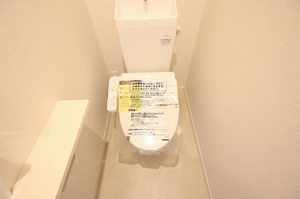 サフィール メゾン A0205号-3
