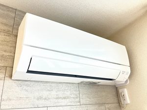 ＳｈａＭａｉｓｏｎ　Ｅｔｅｒｎｏ 0201号-10