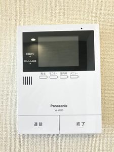 ＳｈａＭａｉｓｏｎ　Ｅｔｅｒｎｏ 0201号-11