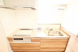 トレスセドロ A0205号-9