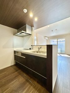 アルビレオ A0102号-3