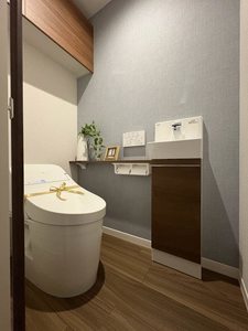 アルビレオ A0207号-8