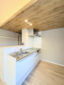 シャーメゾンアルバス新山口 A0102号-3