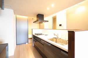 オルタス(ORTUS) A0302号-4