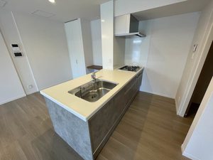 フェリーク A0303号-8