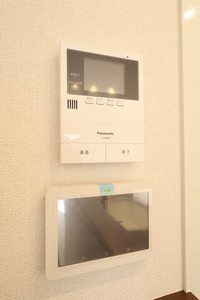 トラピッチェエメラルド B0201号-9