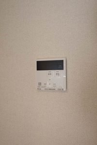 トラピッチェエメラルド B0201号-10