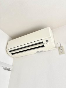 ペニーレイン A0201号-8