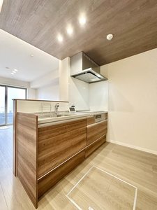 タン　カルム A0102号-3