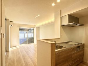 サンディア A0102号-3