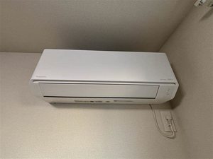 カサデルビアンカ 101号-10