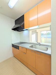 シャーメゾンロビンソン A0201号-3