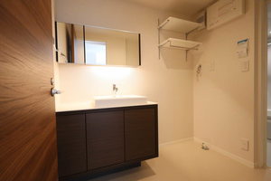 ベレオニシムラⅡ 301号-5