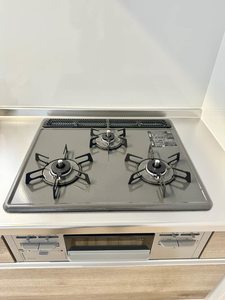 ヴァン・ヴェール B棟 B0208号-4