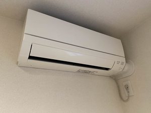 Ｍａｉｓｏｎ　ｄｅ　Ｃｏｌｌｉｎｅ A0101号-10