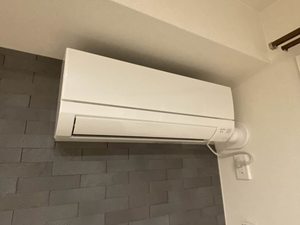 Ｍａｉｓｏｎ　ｄｅ　Ｃｏｌｌｉｎｅ A0202号-11