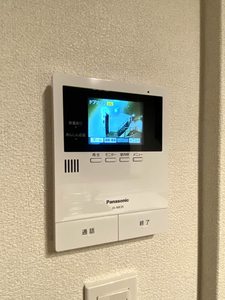 Ｍａｉｓｏｎ　ｄｅ　Ｃｏｌｌｉｎｅ A0202号-12