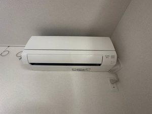 セレーナエルフォ A0103号-12