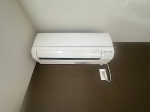 セレーナエルフォ A0104号-12