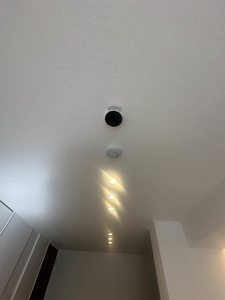 セレーナエルフォ A0104号-13