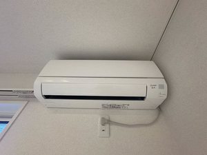 セレーナエルフォ A0201号-9