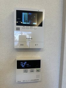 セレーナエルフォ A0202号-9