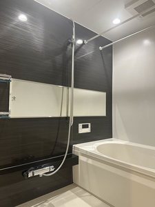 セレーナエルフォ A0202号-11