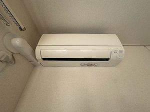 セレーナエルフォ A0204号-9